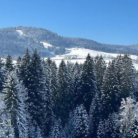 Apartmán Dachtler *